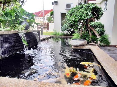 Bantuan gratis untuk tugas sekolah bantuan gratis untuk tugas sekolah. Mengatasi air kolam koi berwarna hijau - Akuarium Ikan Hias