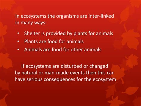 Ecosystems And Interactions Ppt Download