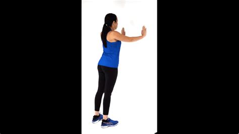 Day 13 Scapula Wall Push Up Biofunctional Health Solutions