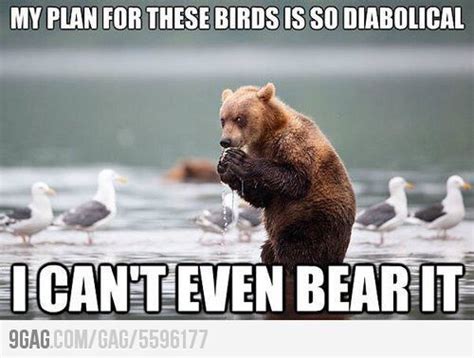 Unbearable Indeed Funny Animal Captions Funny Bears Animal Puns