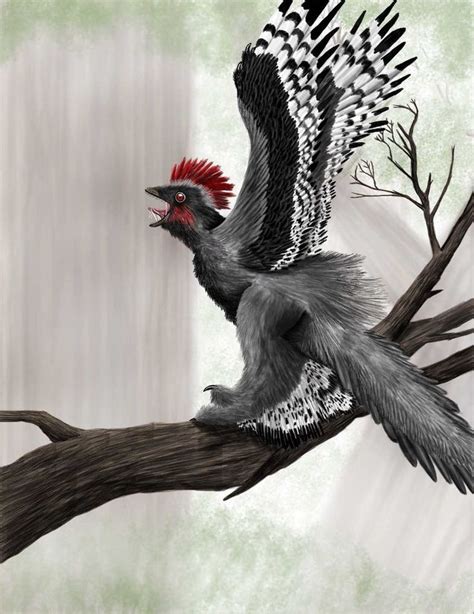 20 Interesting Dinosaur Facts Answers Africa Prehistoric Wildlife
