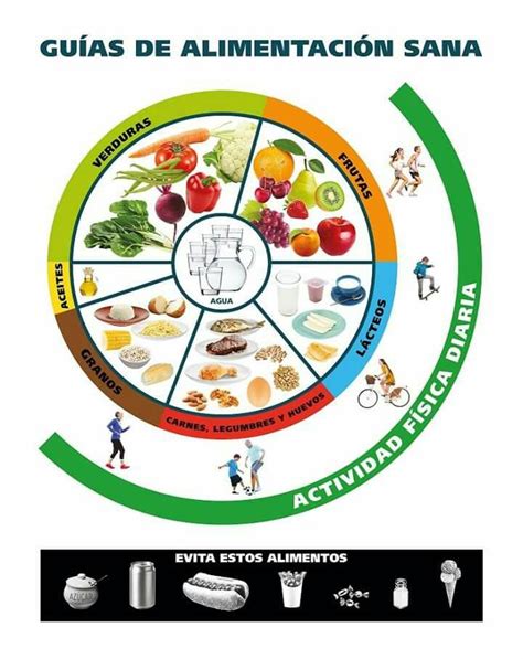 Guía De Alimentación Saludable Fit Life Health Nutri