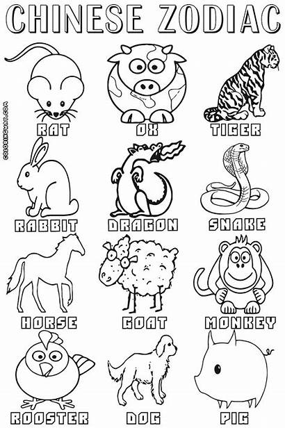 Zodiac Coloring Pages Chinese Signs Animals Animal