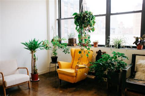 Japandi is an interior design style that sits at the crossroads of minimalism and organic modernism. Grandmillenial? Japandi? 7 Home Design Trends To Usher In ...