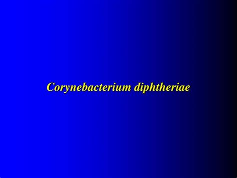 Corynebacterium Diphtheriae Chinese Letters