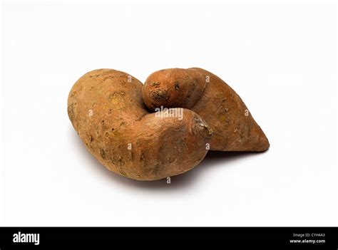 Two Sweet Potatoes Isolated Stock Photo Alamy