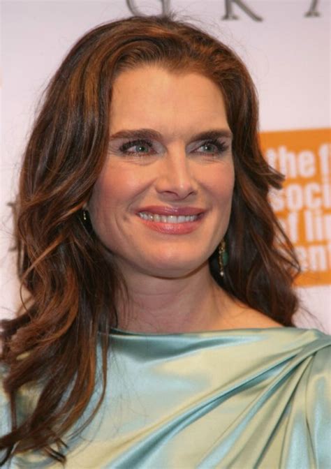 Brooke Shields Long 40 Plus Hairstyle And A Satin Mini Dress