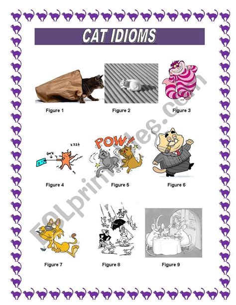 Cat Idioms Esl Worksheet By Gumby59