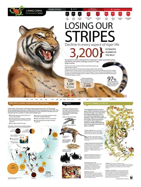 Infographic Losing Our Stripes Decline In Every Aspect