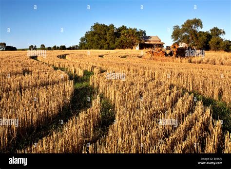 Crop Australian Farm Harvest Hi Res Stock Photography And Images Alamy