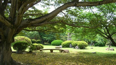 Vertical screen divider with zen, as shown. Japanese Zen Garden Wallpaper (56+ images)