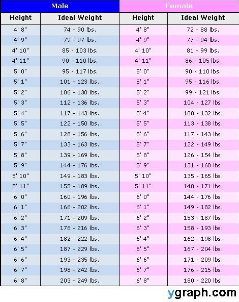 Height And Weight Chart For Men Check More At