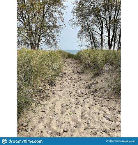 Path To The Beach At Lake Michigan Stock Image Image Of Sand Sandy