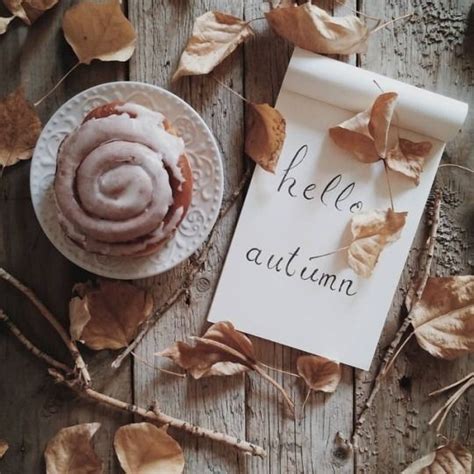 Перевод песни sweater weather — рейтинг: Sweater weather is better weather | Autumn aesthetic ...