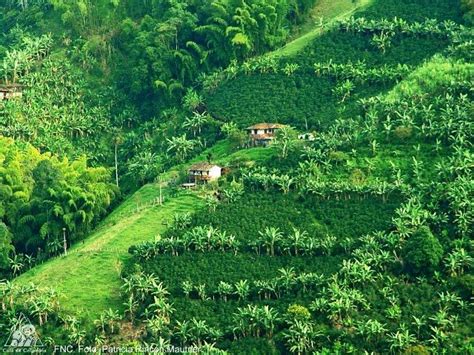 The Coffee Cultural Landscape Of Colombia South America Pinterest