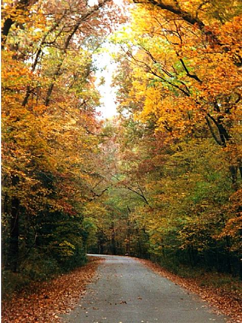 Looking for a great area to relax, trout fish, boating, canoe and kayak trips then look no further. Beavers Bend State Park, an Oklahoma State Park located ...