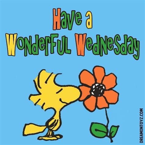 Wednesday Hump Day Wednesday Greetings Good Morning Wednesday Happy