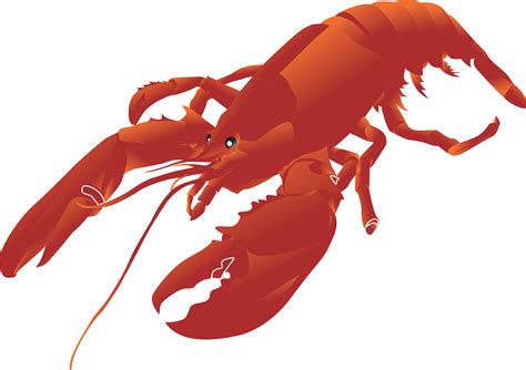 Crayfish Png Transparent Images Free