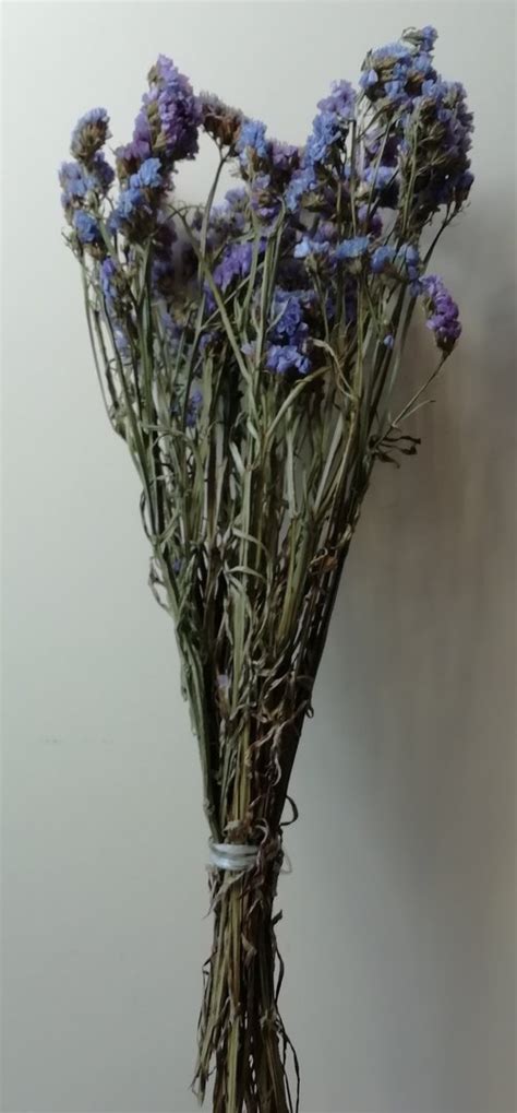 Get the best deals on purple dried flowers. Statice dried flowers purple *Seconds - Dried flowers ...