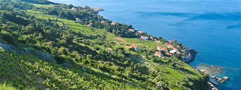 No entanto, a natureza parece intacta e você ainda pode encontrar os lugares tranquilos. Baia Divna - Trpanj - Penisola di Peljesac - Croazia ...