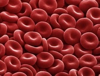Apabila seseorang mempunyai kurang darah merah yang normal, tubuh mereka juga harus bekerja lebih keras untuk mendapatkan oksigen yang cukup ke sel. Inspiration: MENGENAL SEL DARAH MERAH (ERITROSIT)