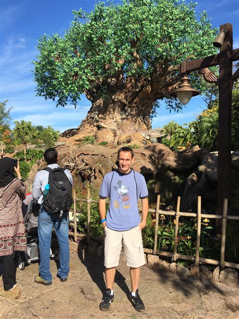 The plural of cactus is cacti or cactuses. The tree of life 🌲 | Tree of life, Life, Tree