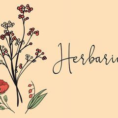 Conheça todos os produtos herbarium. Herbarium Deckblatt in 2020 | Deckblatt, Deckblatt schule ...