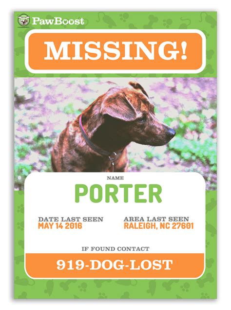 Lost pet template creative images. Lost Dog Flyer Template - Sign Up For Local Lost Pet ...