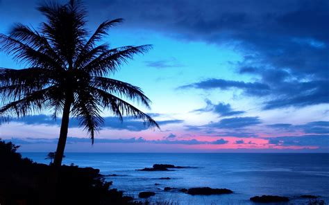 75 Hawaii Backgrounds