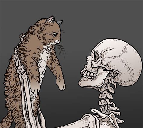 Theres Nothing Cat Art Skeleton Art Skull Art