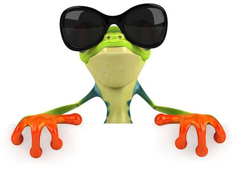 Frog Sunglasses Cool Animal Stock Photos Pictures And Royalty Free