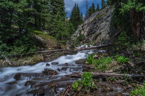 Mountain Stream Colorado Rocky Mountains Stock Image Image Of