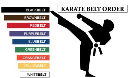 Karate Belt Levels Understanding Meaning And More
