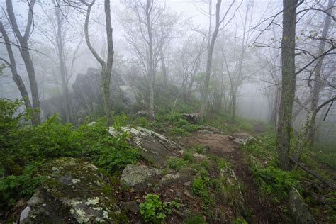 I recommend hiking the bearfence mountain trail in a clockwise direction. Hiking Bearfence Mountain in Shenandoah National Park ...