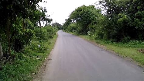 Village Road Natural Beauty Youtube