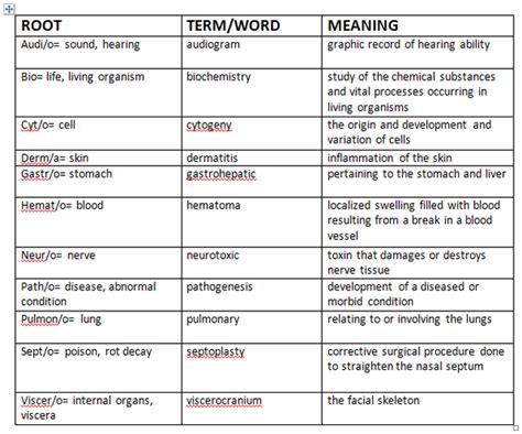 Medical Terminology Mariselas Personal Page
