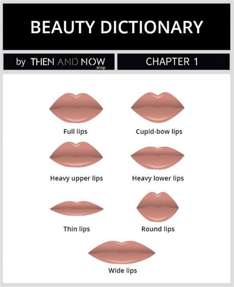 types of lip shapes types of lips shape types of bows cupids bow lips vintage paper textures