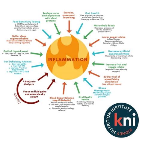 Gut Health And Inflammation Course Kni