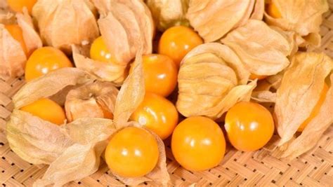 Cape gooseberries look like an orange cherry tomato and taste like a sweet version of a cherry tomato. 9 Marvelous Health Benefits of Cape Gooseberries ...