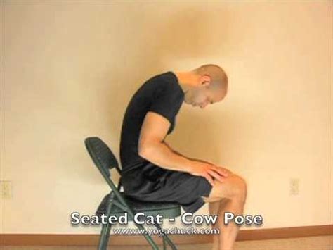 Learn how to do the extended puppy yoga pose in this. Yoga Seated Cat - Cow Pose - YouTube