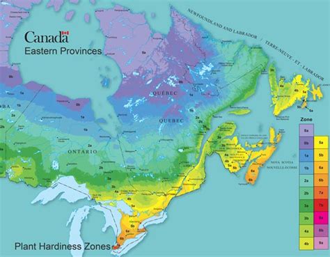 Garden Growing Zones Ontario | Fasci Garden