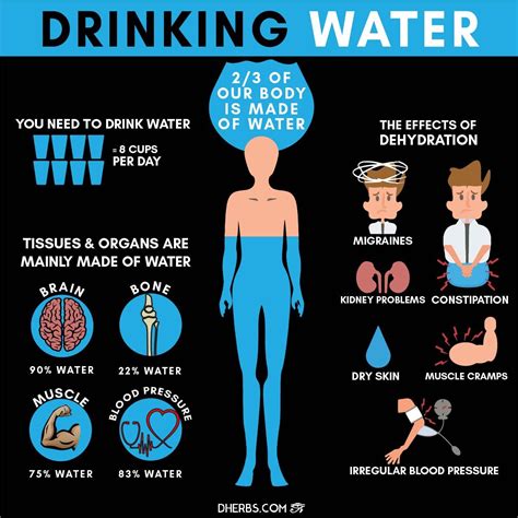Things You Should Know About Your Drinking Water Salud Corporal Vida Saludable Salud