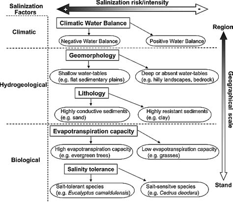 Regional Patterns And Controls Of Ecosystem Salinization