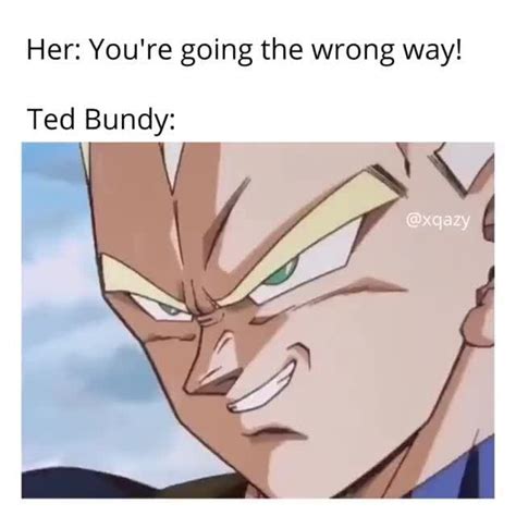 Her Youre Going The Wrong Way Ted Bundy Ifunny
