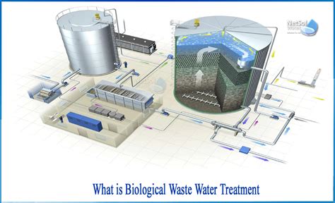 What Is Biological Waste Water Treatment