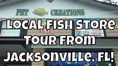 Open 7 days a week. Fish Store Tour from Jacksonville, FL Pet Creations - YouTube