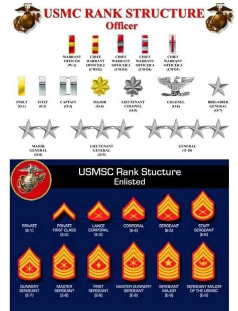 Usmc Ranks Usmc Ranks Marine Corps Ranks Usmc Rank Structure