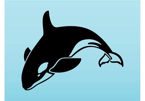 Orca Vector Download Free Vector Art Stock Graphics And Images