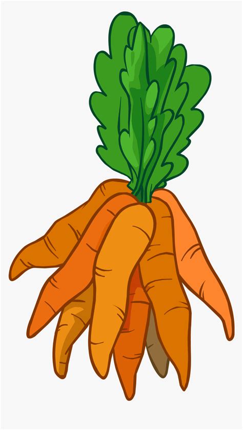 Image Bunch Of Carrots Clipart Hd Png Download Kindpng