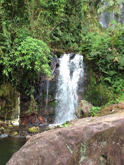 Pin By Mayandmemoriesco On Crazy In Coco Costa Rica Outdoor